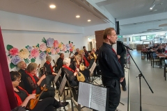 nfmo_hzl_schmelz_19_cgm