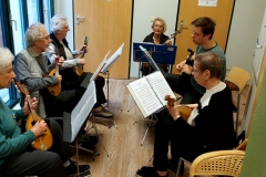 nfmo_ips_2025-03-15_04_cGMuehlbauer