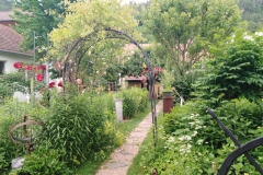 NFMO-Ausflug-2019_06_15-30_cNFMO