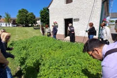 nfmo_ausflug-2023-06-03_03B_cAMuehlbauer