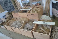 nfmo_ausflug-2023-06-03_08_cWHailzl