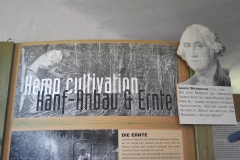 nfmo_ausflug-2023-06-03_09_cWHailzl