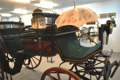 nfmo_ausflug-2023-06-03_10_cWHailzl