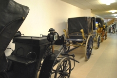 nfmo_ausflug-2023-06-03_11_cWHailzl