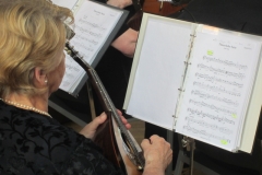 nfmo_bfw2019_23_c_nfmo