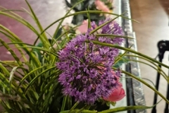 nfmo_fjk2025-05-04_04_02_GMUH