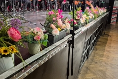 nfmo_fjk2025-05-04_04_03_GMUH