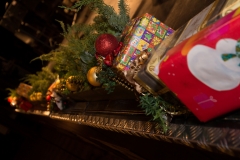 5633_NFMO-2016_11_27-20_c_NFMO