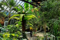 nfmo_ausflug_20220611_22