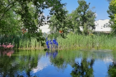 nfmo_ausflug_20220611_23