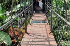 nfmo_ausflug_20220611_28