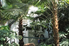 nfmo_ausflug_20220611_40