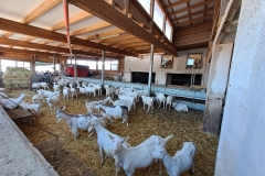 nfmo_ausflug2024_16_cnfmo