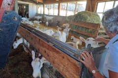 nfmo_ausflug2024_17_cnfmo