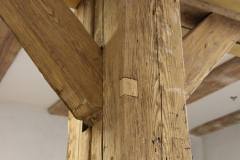 NFMO-Dessau2019_079_c_GM