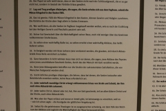 NFMO-Dessau2019_081_c_GM