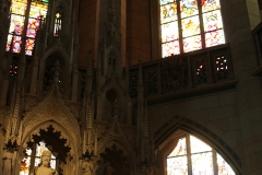 NFMO-Dessau2019_094_c_GM