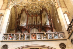 NFMO-Dessau2019_099_c_GM