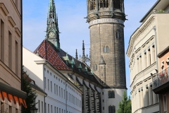 NFMO-Dessau2019_103_c_GM