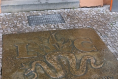 NFMO-Dessau2019_110_c_GM