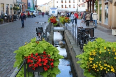 NFMO-Dessau2019_116_c_GM